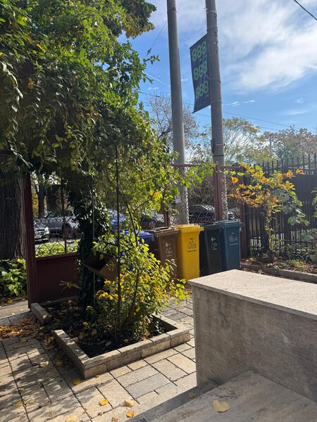 Vatra Luminoasa, Spital Monza,