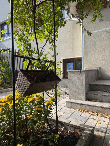 Vatra Luminoasa, Spital Monza,